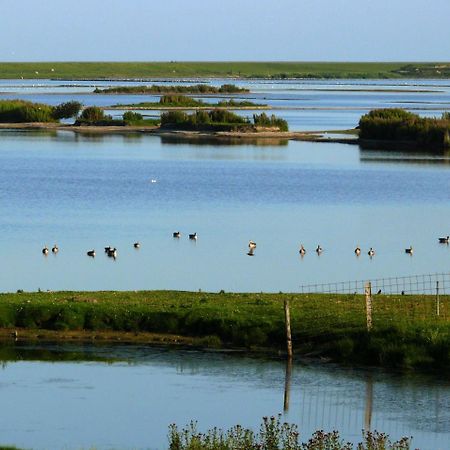 Haus-Halligblick-Ferienwohnung-Hamburger-Hallig Dagebüll Exteriör bild