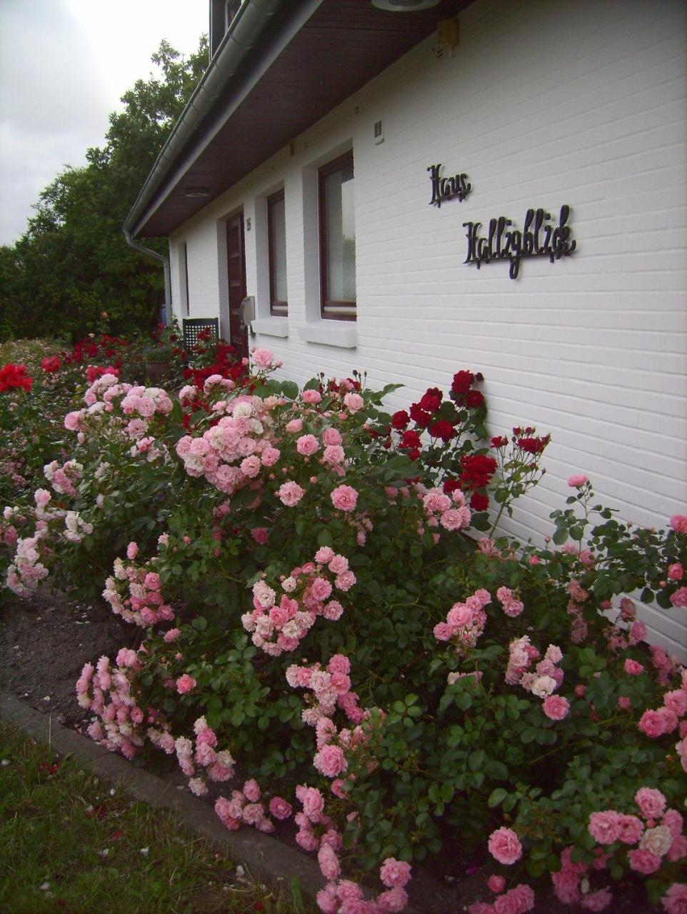 Haus-Halligblick-Ferienwohnung-Hamburger-Hallig Dagebüll Exteriör bild