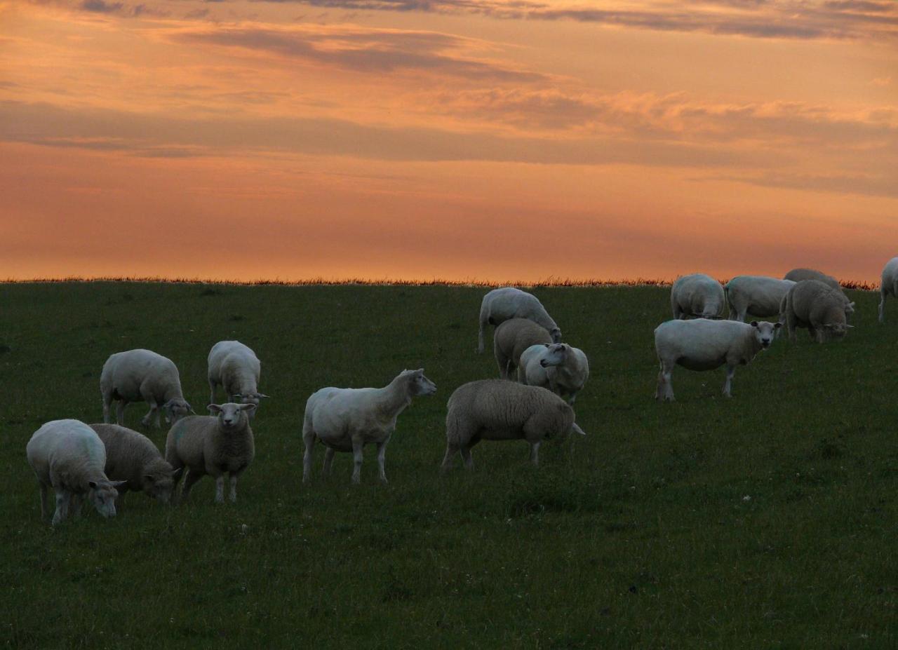 Haus-Halligblick-Ferienwohnung-Hamburger-Hallig Dagebüll Exteriör bild