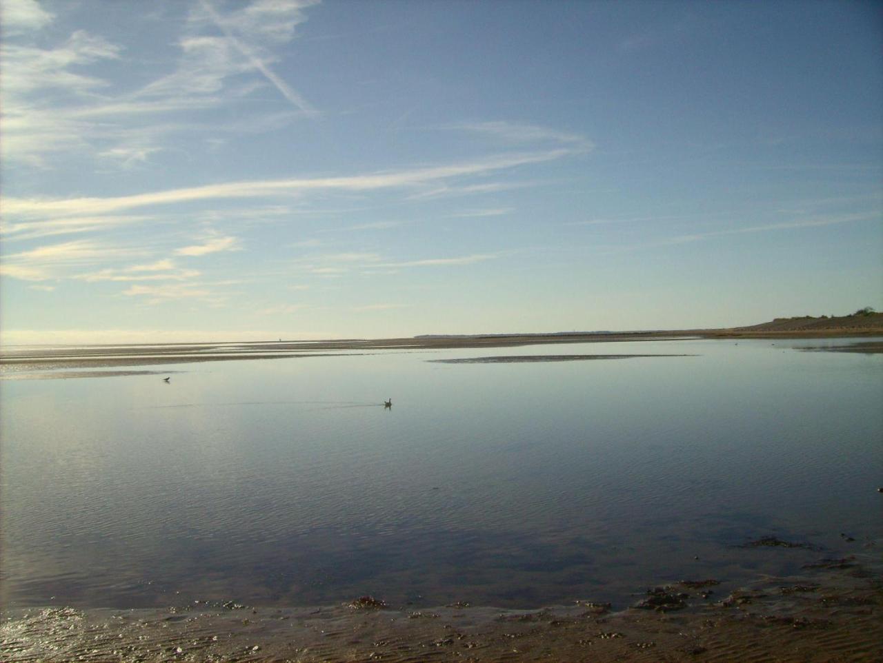 Haus-Halligblick-Ferienwohnung-Hamburger-Hallig Dagebüll Exteriör bild