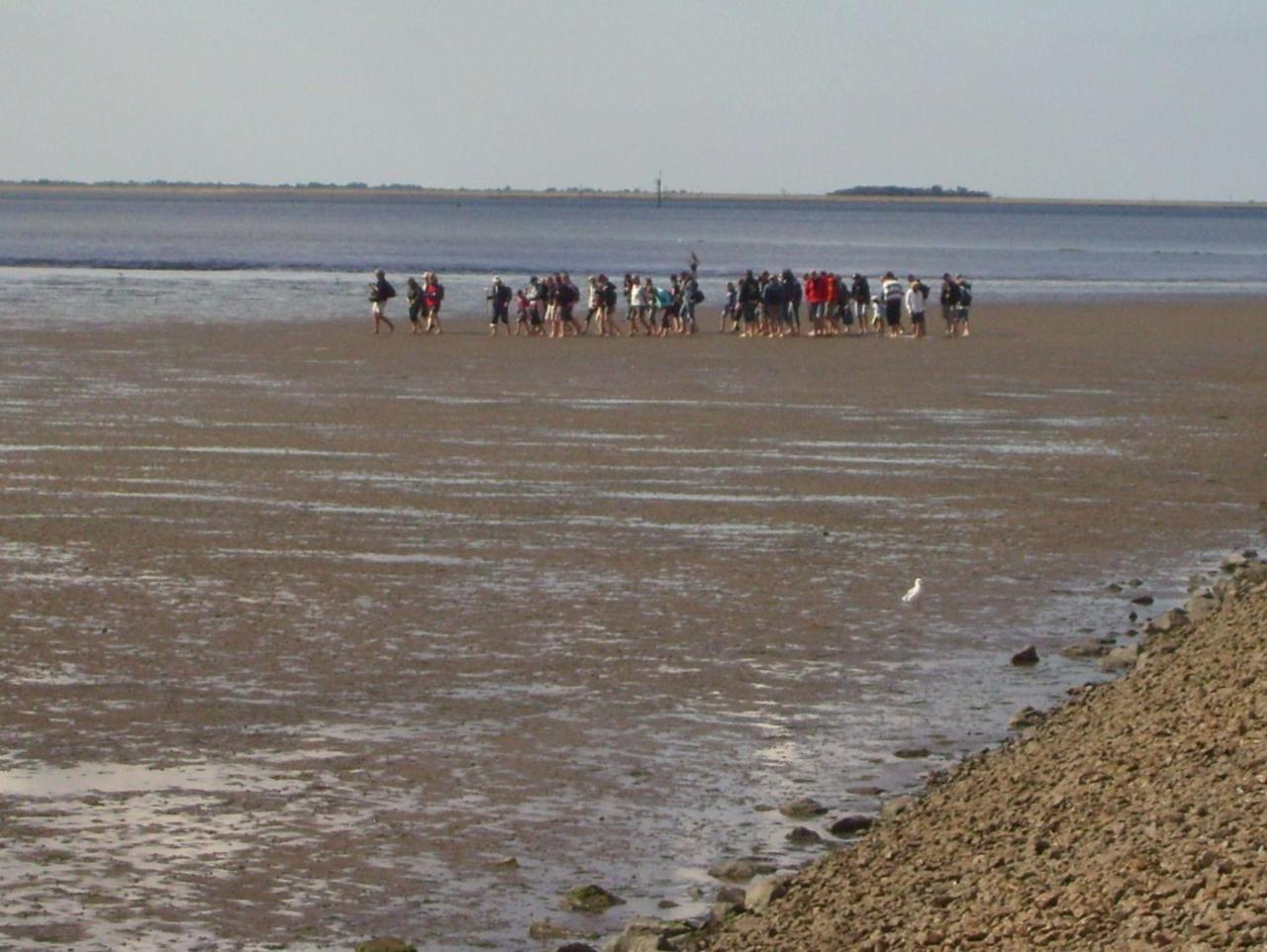 Haus-Halligblick-Ferienwohnung-Hamburger-Hallig Dagebüll Exteriör bild