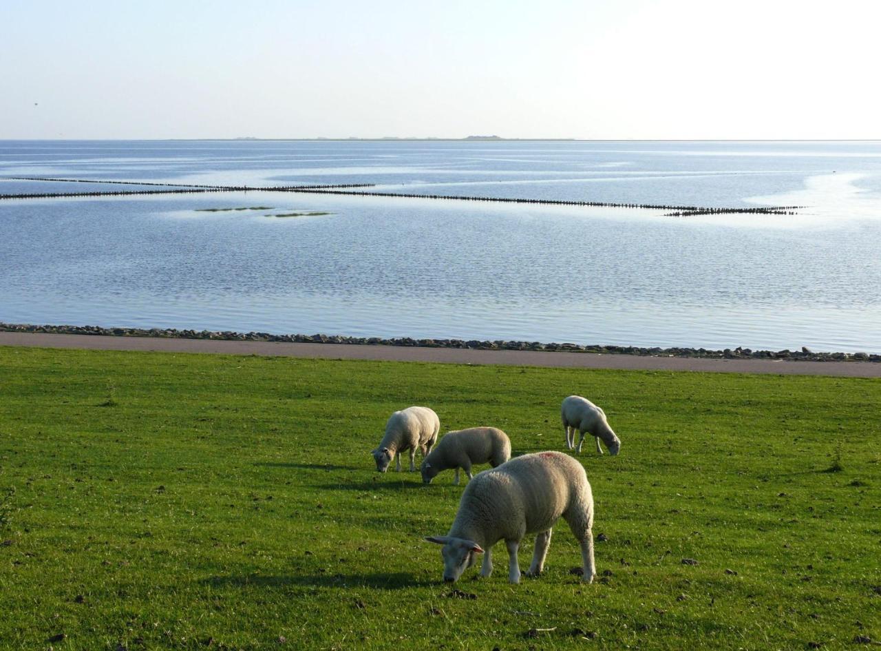 Haus-Halligblick-Ferienwohnung-Hamburger-Hallig Dagebüll Exteriör bild