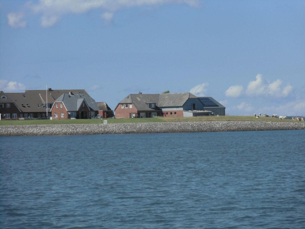 Haus-Halligblick-Ferienwohnung-Hamburger-Hallig Dagebüll Exteriör bild