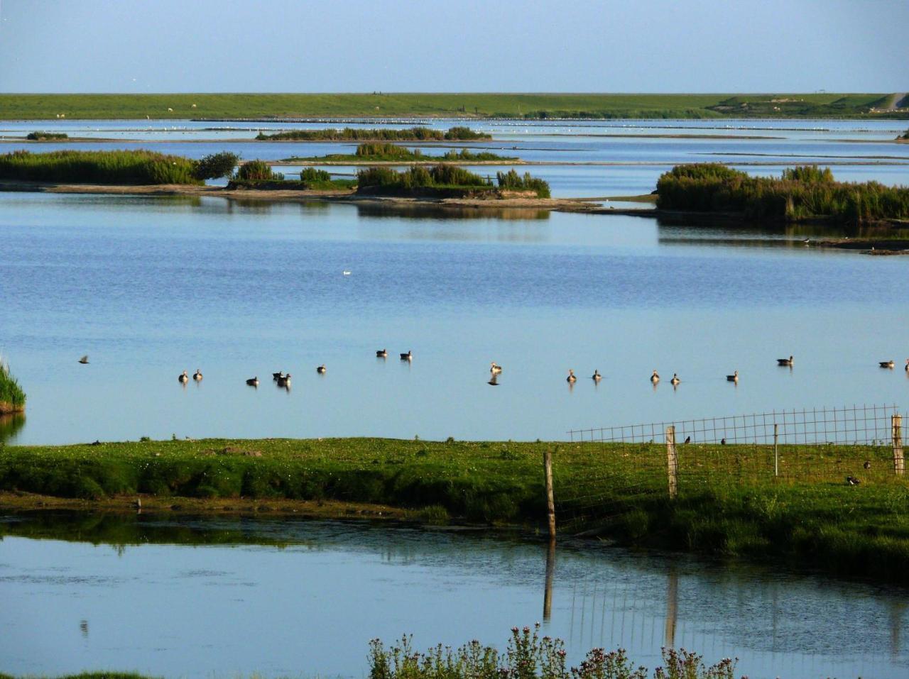 Haus-Halligblick-Ferienwohnung-Hamburger-Hallig Dagebüll Exteriör bild